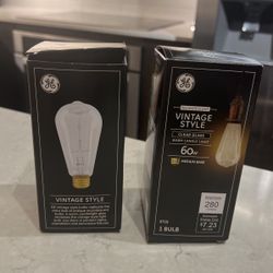 2 Vintage Style Bulbs