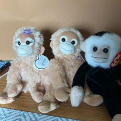 Beanie Babies Monkeys 