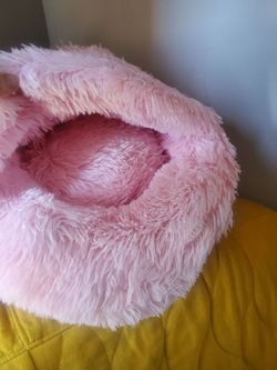 Pet Bed