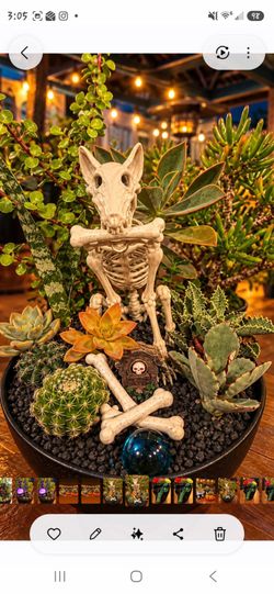 Black Sugar Skull Planter with Bead Embellishments