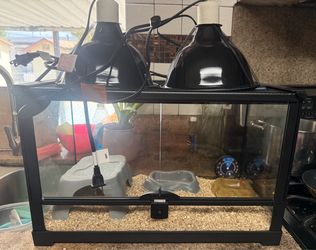 Reptile Habitat