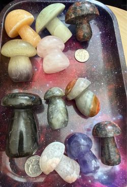 stone mushrooms