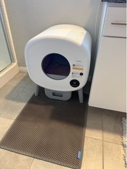 Automatic cat box