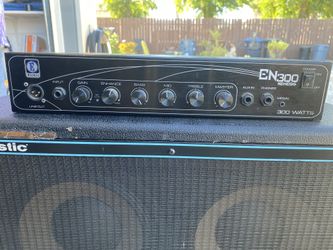 Acoustic Cabinet With Eden Amplifier Willing To Trade
