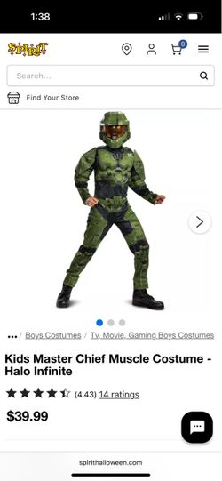 Halo and BumbleBee costumes