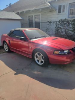 99 mustang  3.8