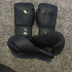 Venom Boxing Gloves