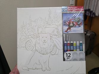 Self Painting Canvas (2 Pack)