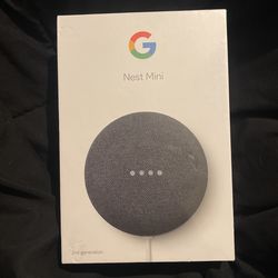 Google Mini Nest