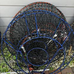 Blue Crab And Lobter 