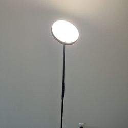 Standing Lamp Light