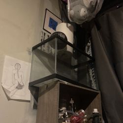 Fish Tank 