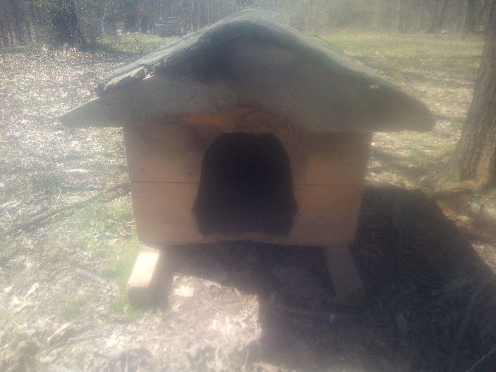 Dog house