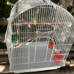 Jaula Nueva Con Todo Nuevo