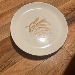 Dinner plates buy 3 get 2 free 