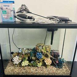 Aquarium Fishtank 29 Gallon + Add Ons
