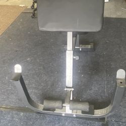 Preacher Curl Bench