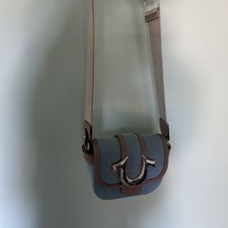 True Religion Purse