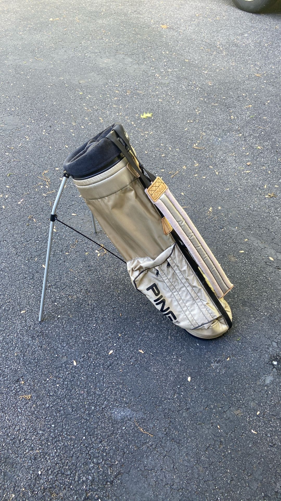 Ping Single Strap Hoofer Bag