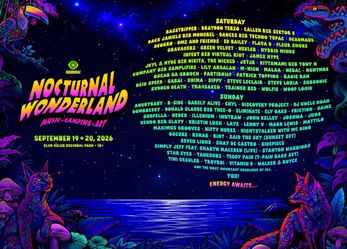 Nocturnal 2 day wristband