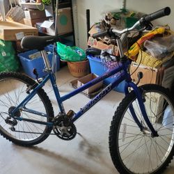 Giant Brand Ladies 16 Speed Bike