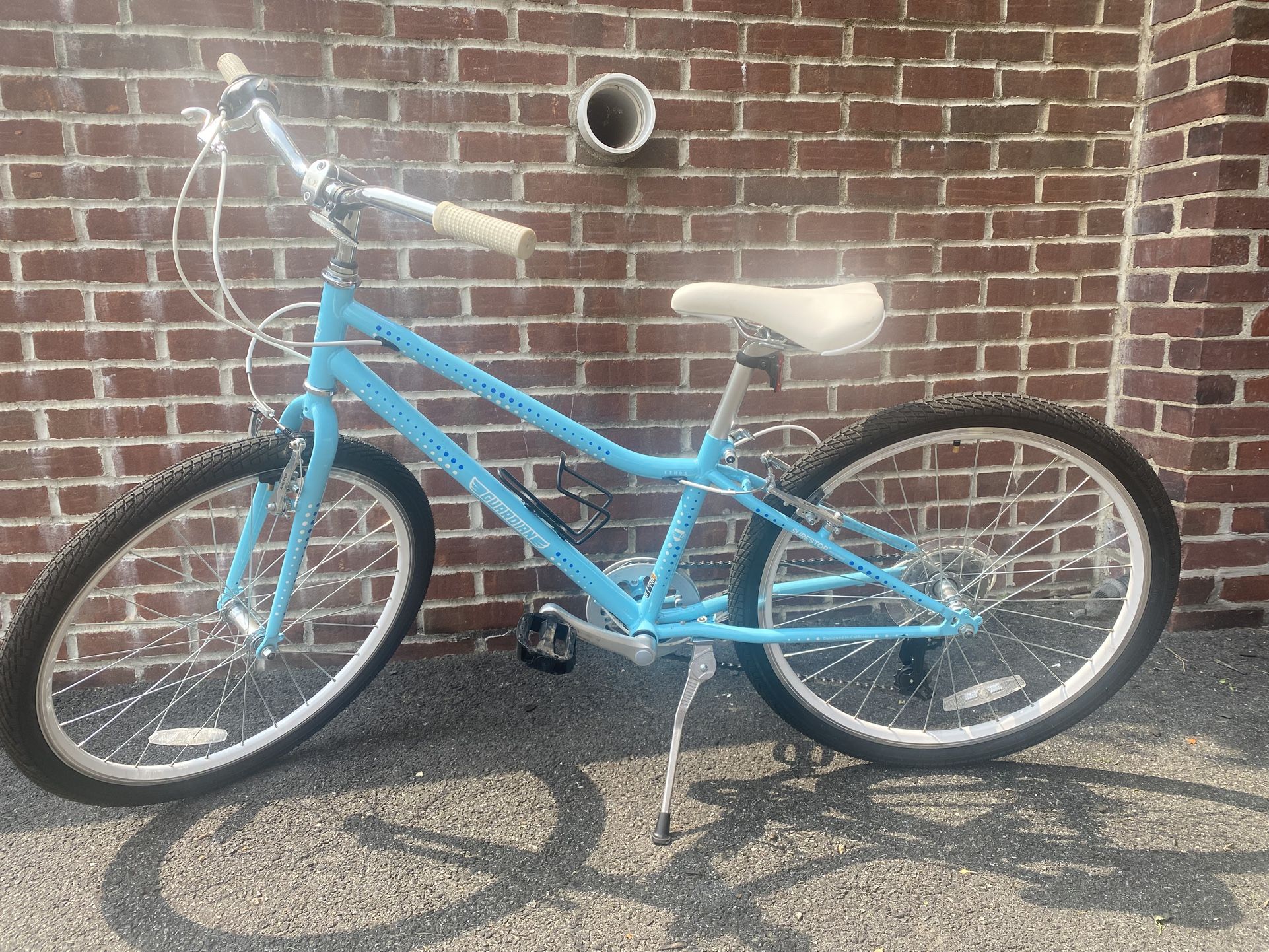 Guardian Bike