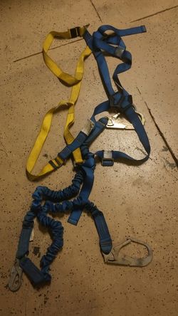 Harness