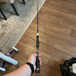 Abu Garcia Fantasista 