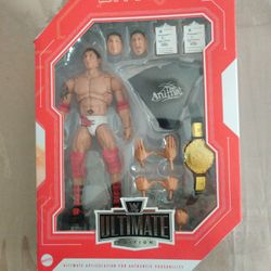 WWE ULTIMATE EDITION BATISTA