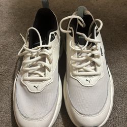Pumas
