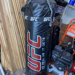 100lb Heavy Bag (UFC)