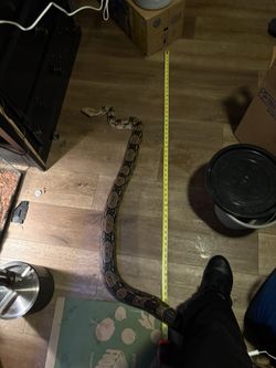 Tape Measurer
