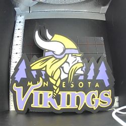 Minnesota Vikings Lightbox
