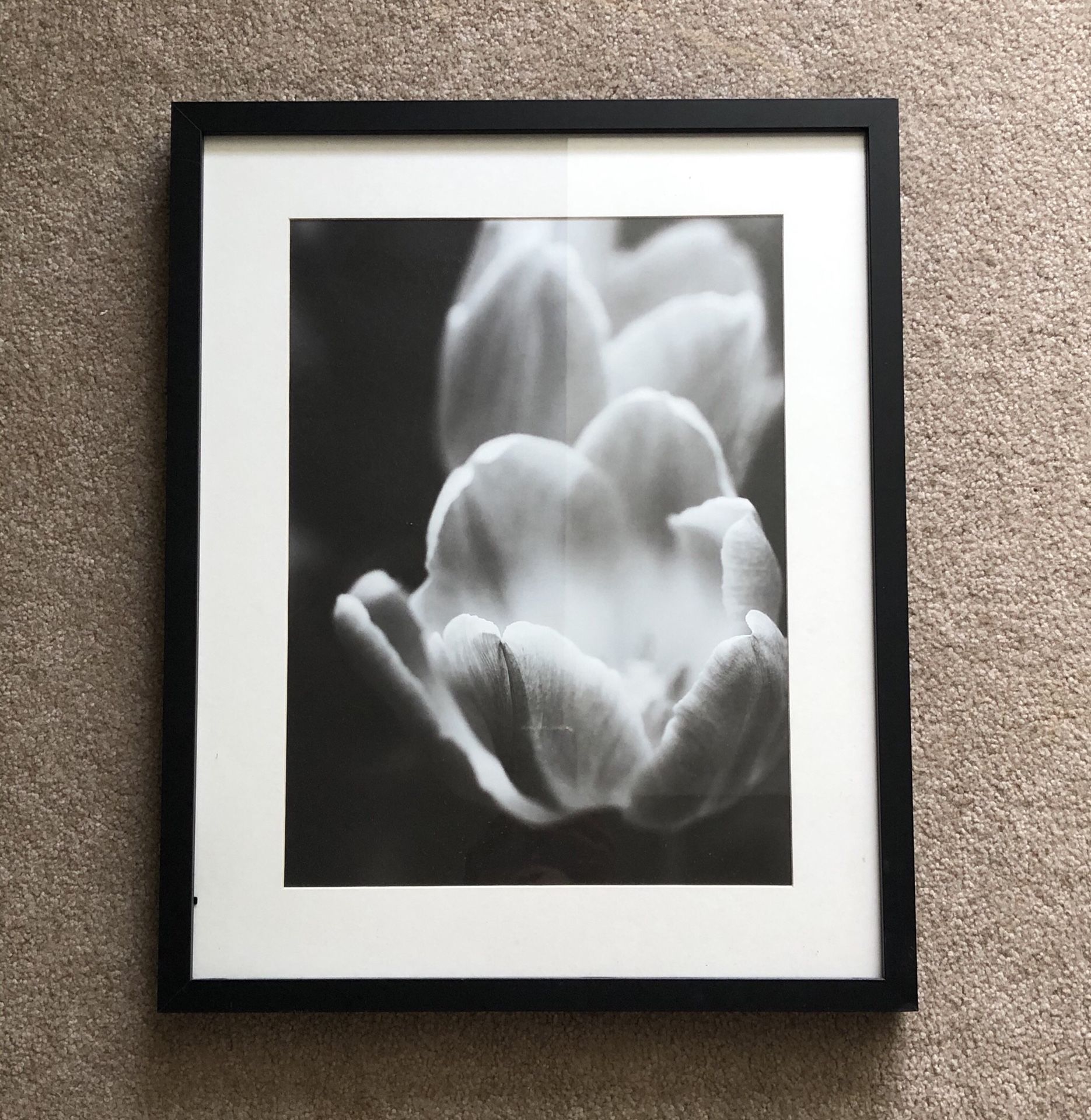 Frames with Floral Pictures