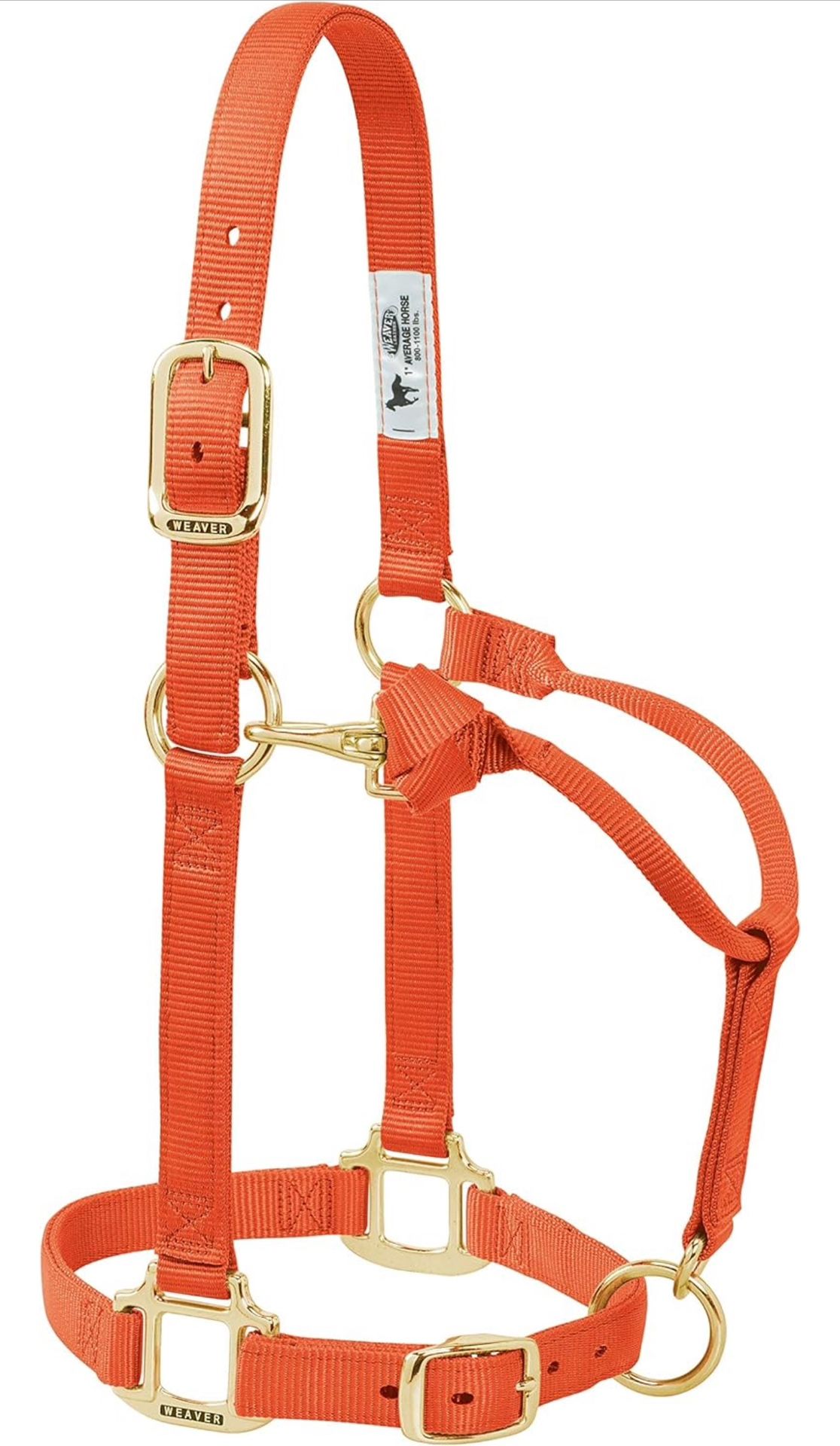 Weaver leather 3/4 inch waning/pony horse 20 300 pound halter orange