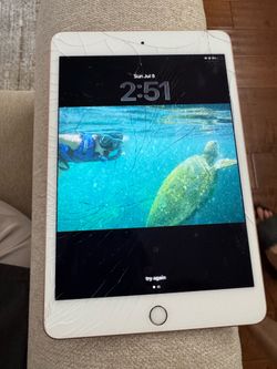 iPad mini 5 (A2133) – 256GB WiFi – Cracked Screen, Fully Functional