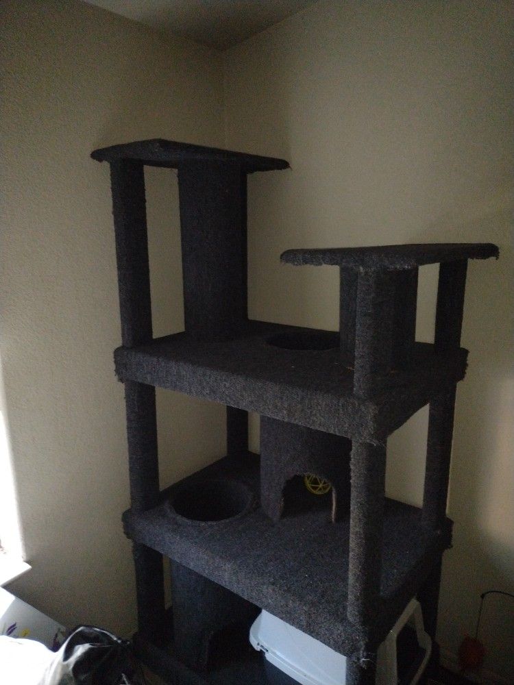 Cat Tree