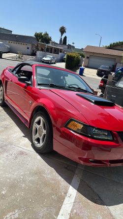 Mustang V8