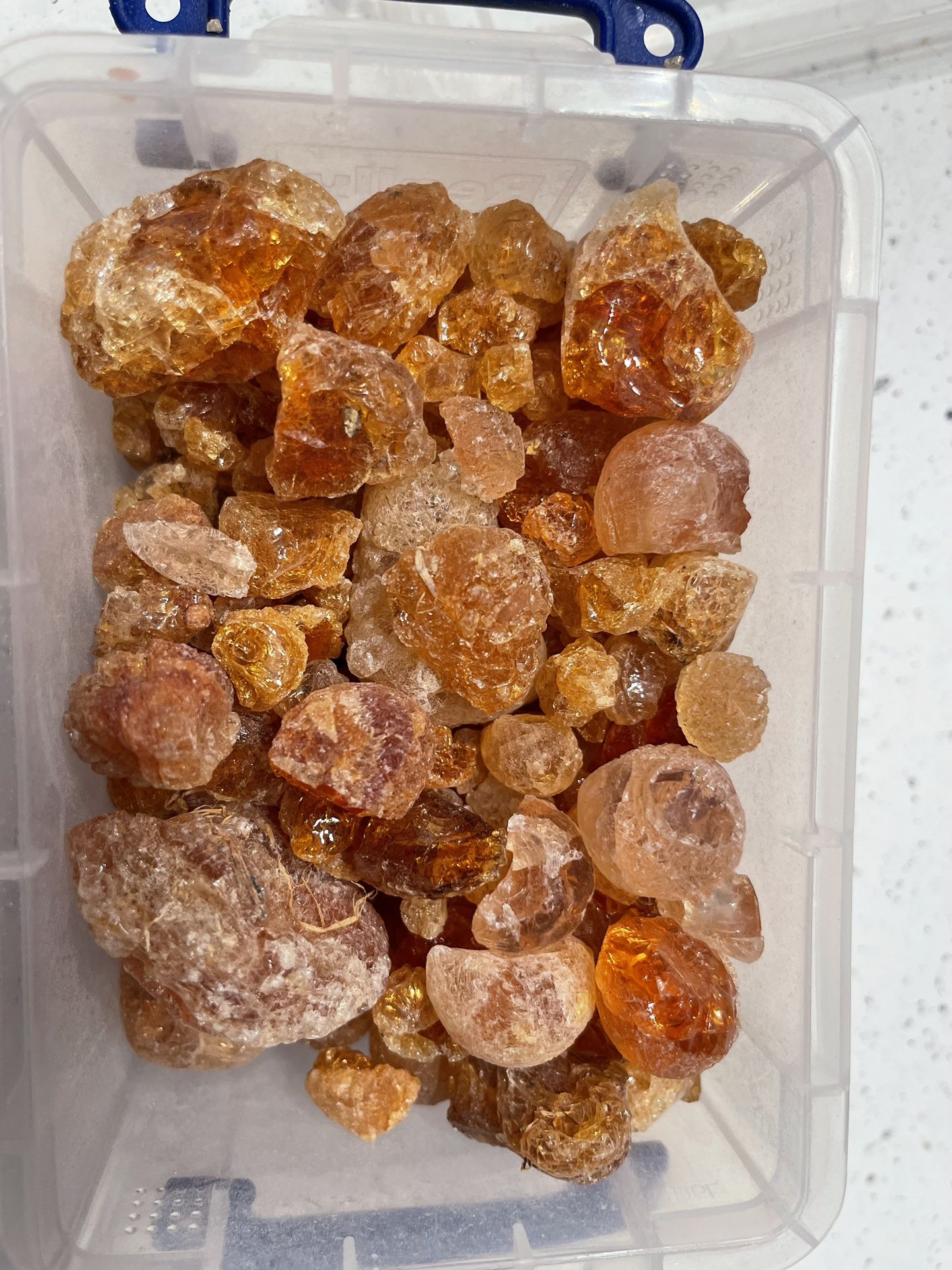 I Believe This Is Gum Arabic