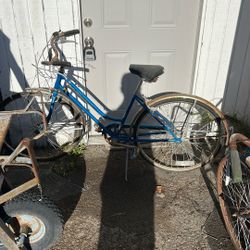 Schwinn Bikes
