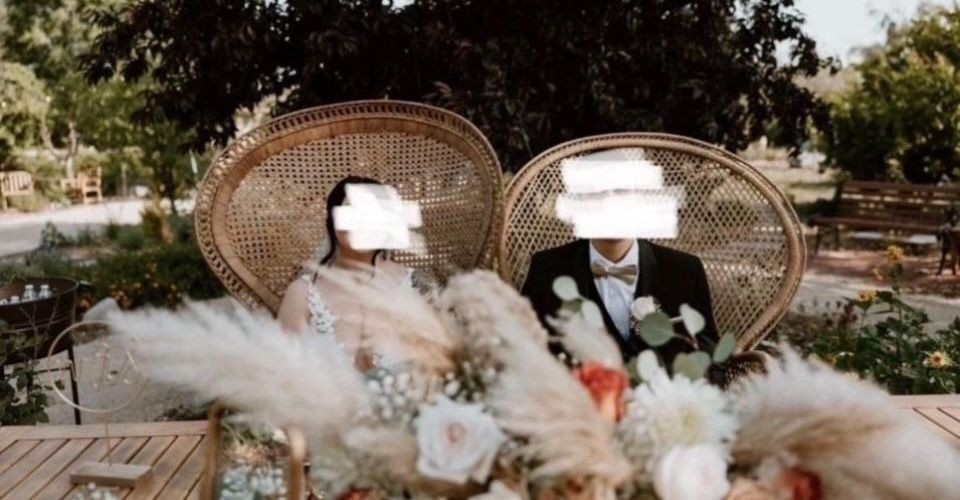 Peacock Chairs
