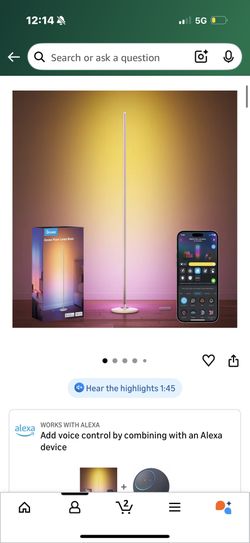 Govee Floor Lamp - Brand New