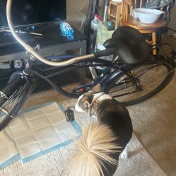 Schwinn Bike