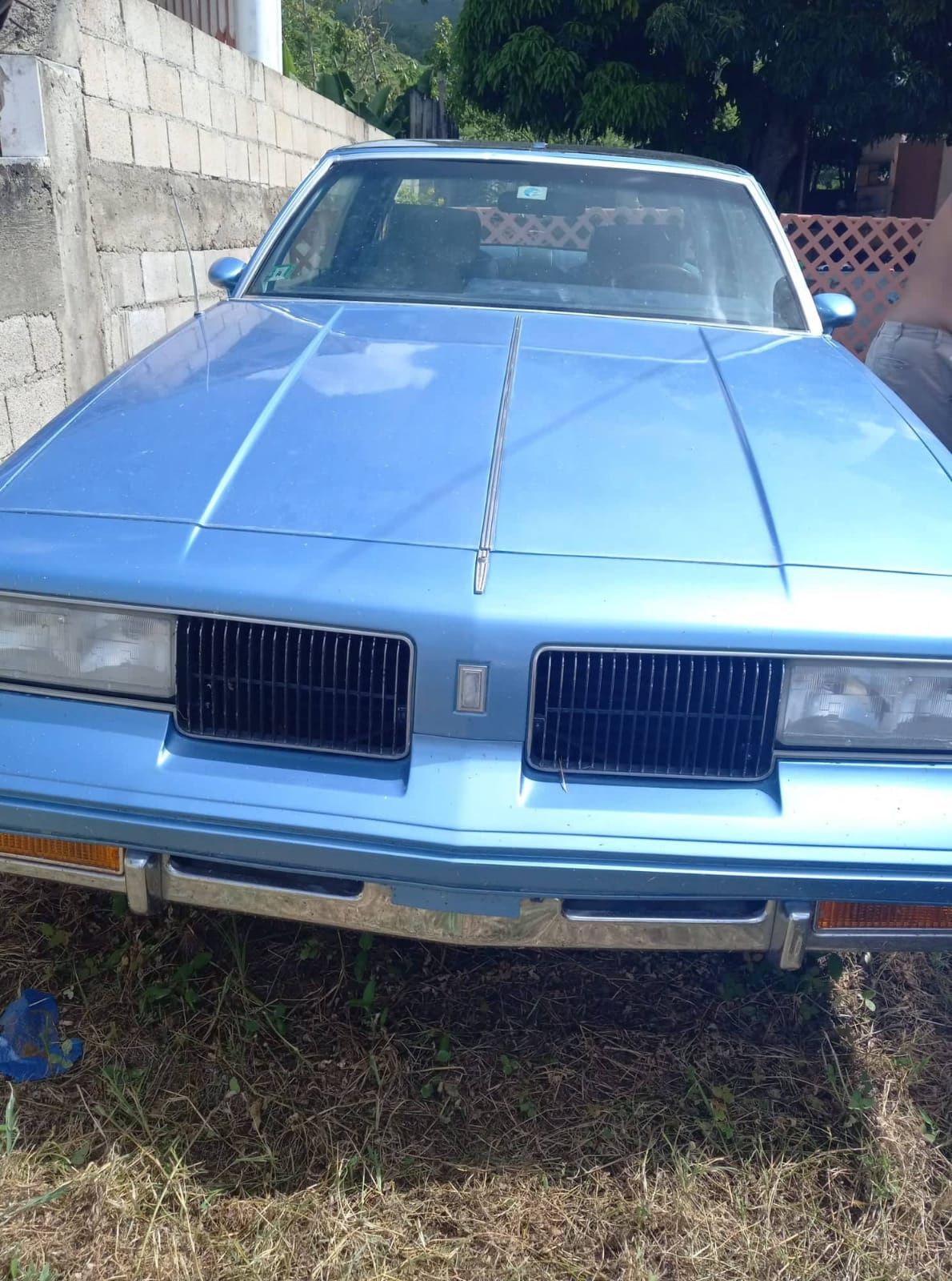 1984 Oldsmobile Cutlass Supreme