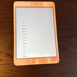 iPad Mini Model A1489
