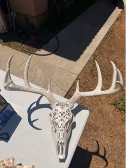 Western Decor Deer Skull
