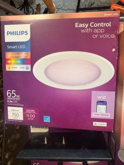 Phillips hue lights