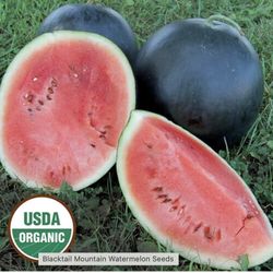 WATERMELON PLANTS ORGANIC 100 PERCENT GROWN TO PRODUCE HERE IN THE PNW