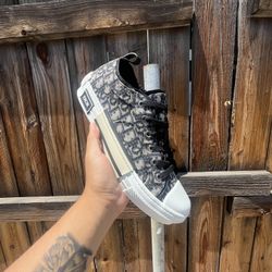 Dior B23 Lowtops