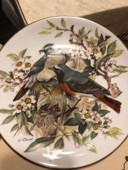 Collectible Plates 